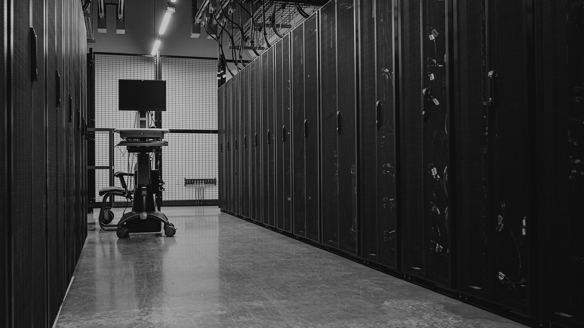 An aisle between cabinets in a company server room, cabling showing through the mesh doors
